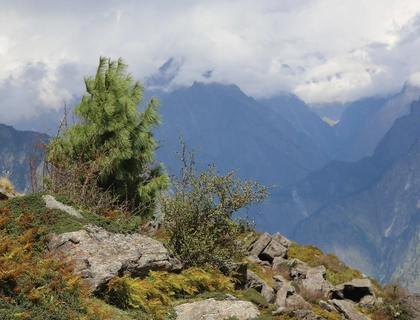 Valley of Flowers Hemkund Sahib Tour