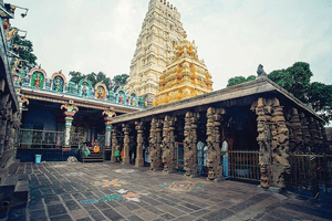Hyderabad Mallikarjuna Jyotirlinga Tour