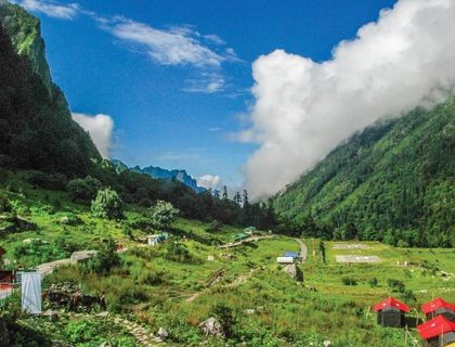 Valley of Flowers Hemkund Sahib Tour