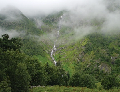 Valley of Flowers Hemkund Sahib Tour