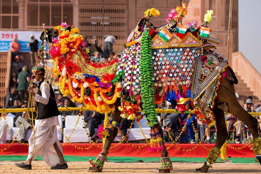 Pushkar Diwali