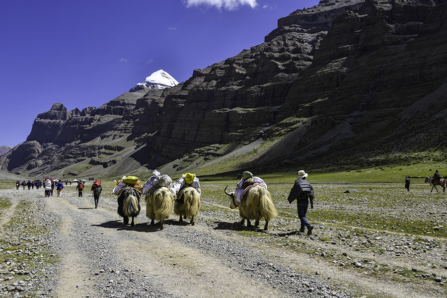 Mount Kailash Parikrama