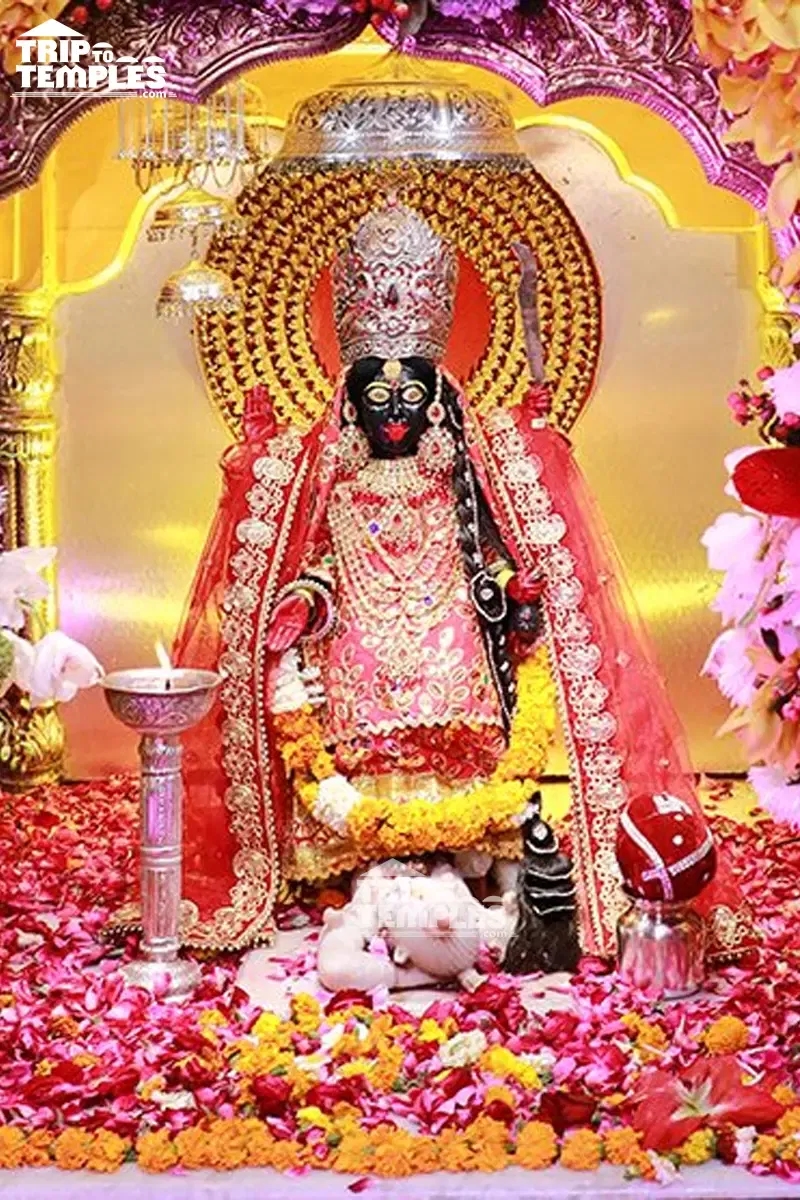 Shakti Peeth Pilgrimage Packages