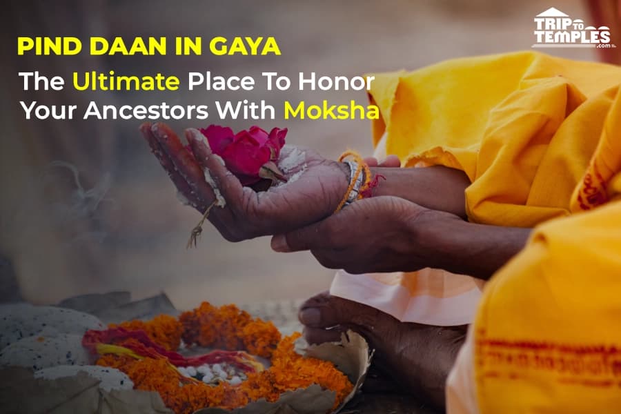 Pind Daan Pooja in Gaya: Know Rituals, Significance, Pooja Vidhi, and More