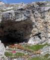 Amarnath Cave: The Holy Shrine of Lord Shiva