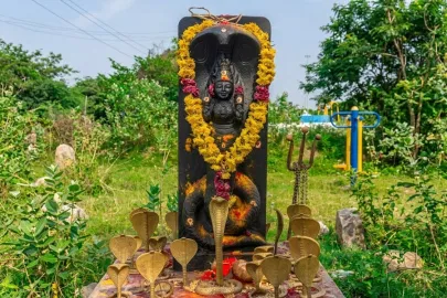 Nag Panchami 2026: Significance, Puja Vidhi & Temples To Visit Nag Panchami 2026: Significance, Puja Vidhi & Temples To Visit