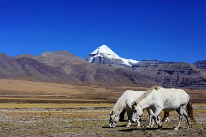 Customize Your Kailash Mansarovar Yatra to Enjoy Added Benefits