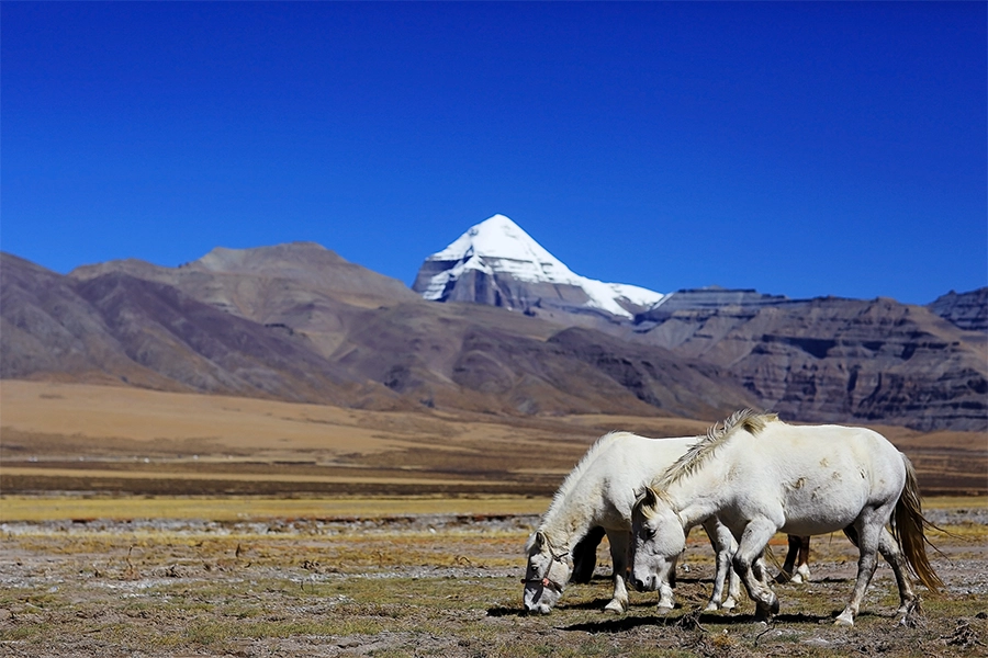 Customize Your Kailash Mansarovar Yatra to Enjoy Added Benefits