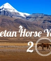  Kailash Mansarovar Yatra During Tibetan Year of Horse 2026 ‘Mahakumbh of Kailash’