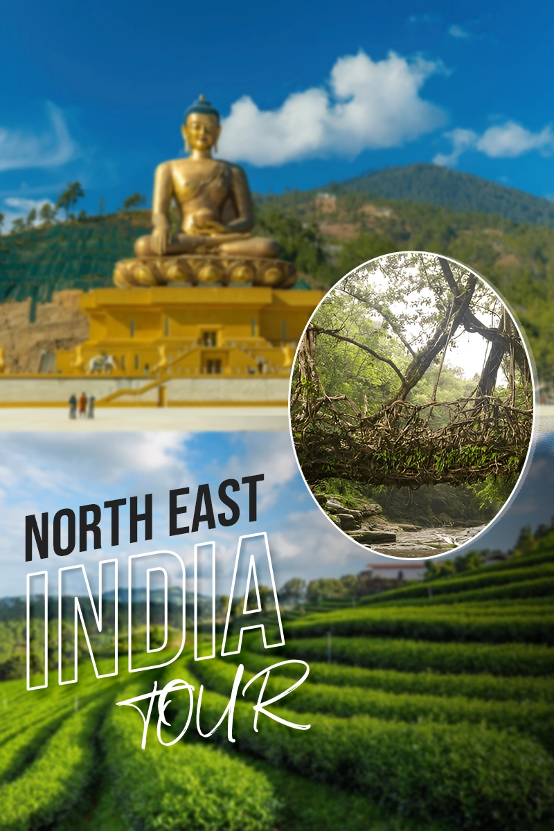 North East India Tour Packages
