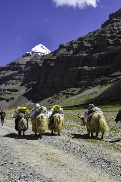 Overland Kailash Mansarovar Yatra 2026 by Bus