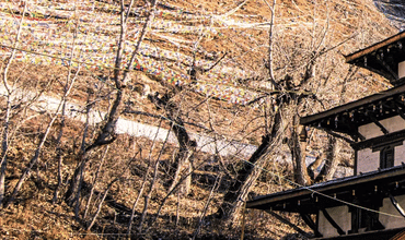 Kathmandu and Pokhara Tour