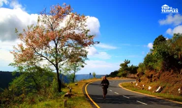 Assam Meghalaya Tour Package