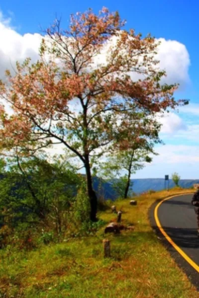 Assam Meghalaya Tour Package