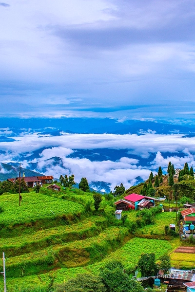 Gangtok Pelling and Darjeeling Tour Package