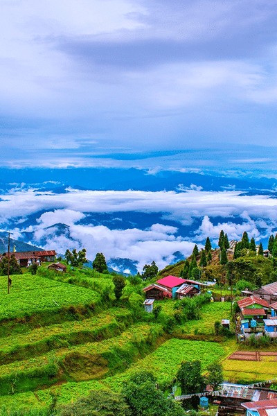 Gangtok Pelling and Darjeeling Tour Package