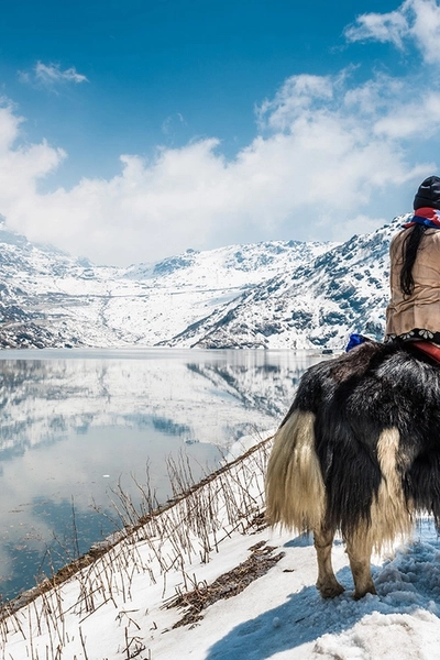 Gangtok Darjeeling Tour Package