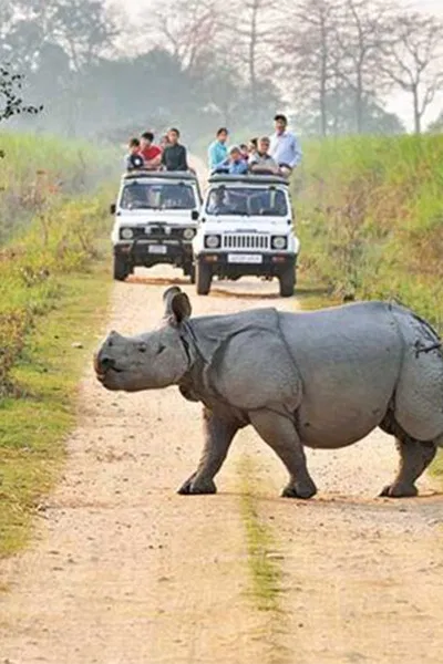 Mystic of North East India
