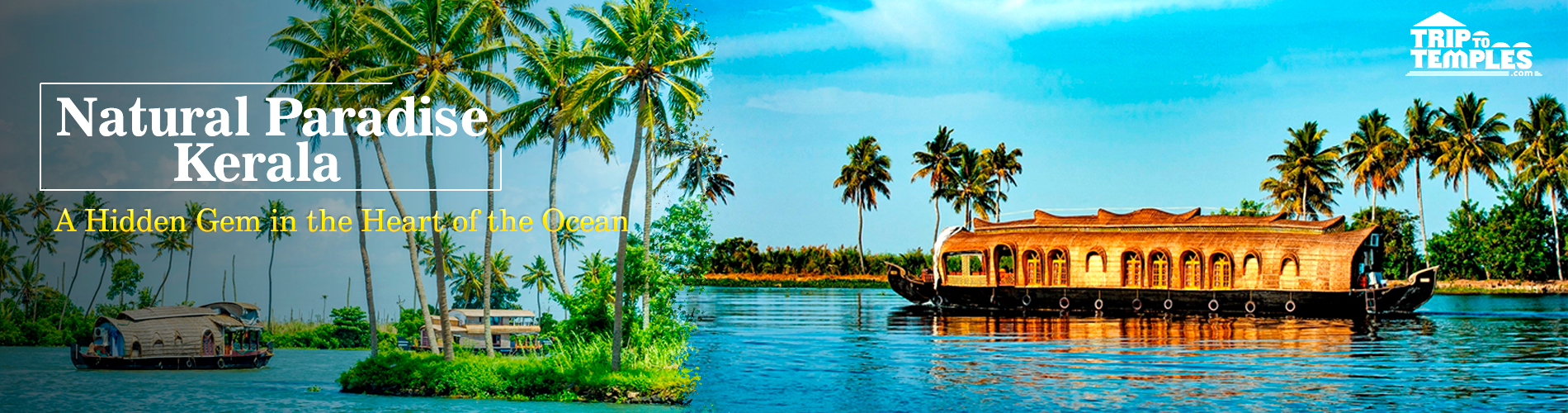 Natural Paradise Kerala Tour Package