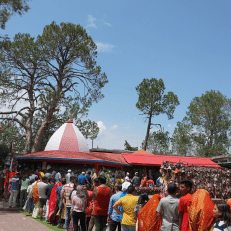 Golu Devata Temple