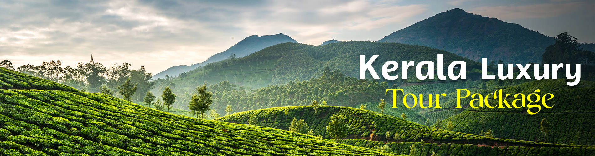 Kerala Luxury Tour Package