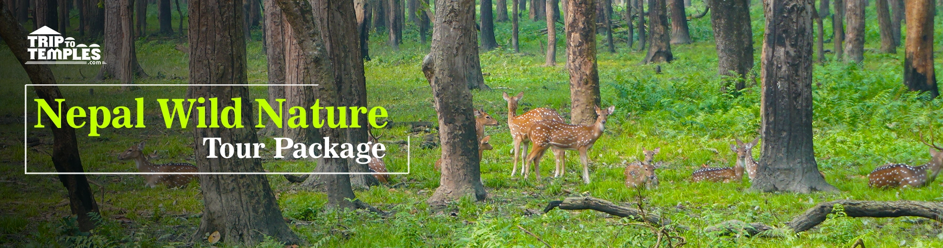 Nepal Wild Nature Tour Package