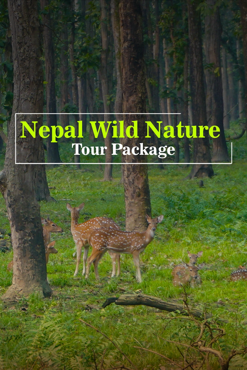 Nepal Wild Nature Tour Package
