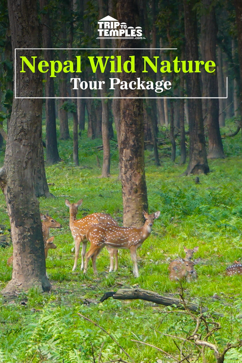 Nepal Wild Nature Tour Package