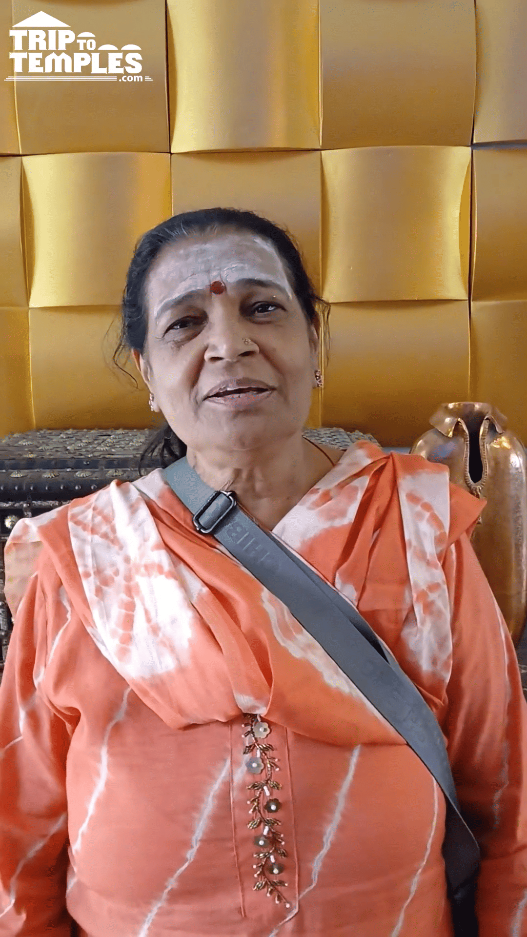 Traveller is blessed with Kailash Mansarovar Darshan, shares her experience